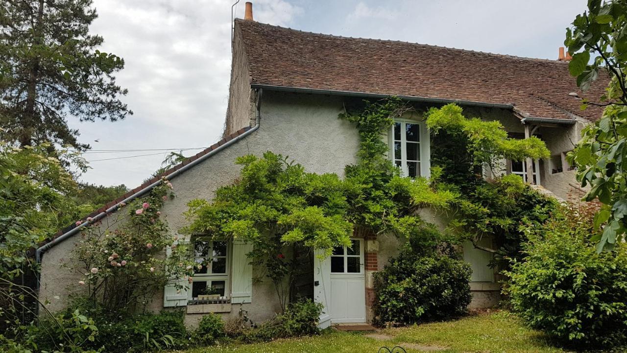 Chambres D'Hotes Les Renardieres Molineuf Exterior photo